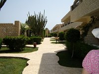 foto 052